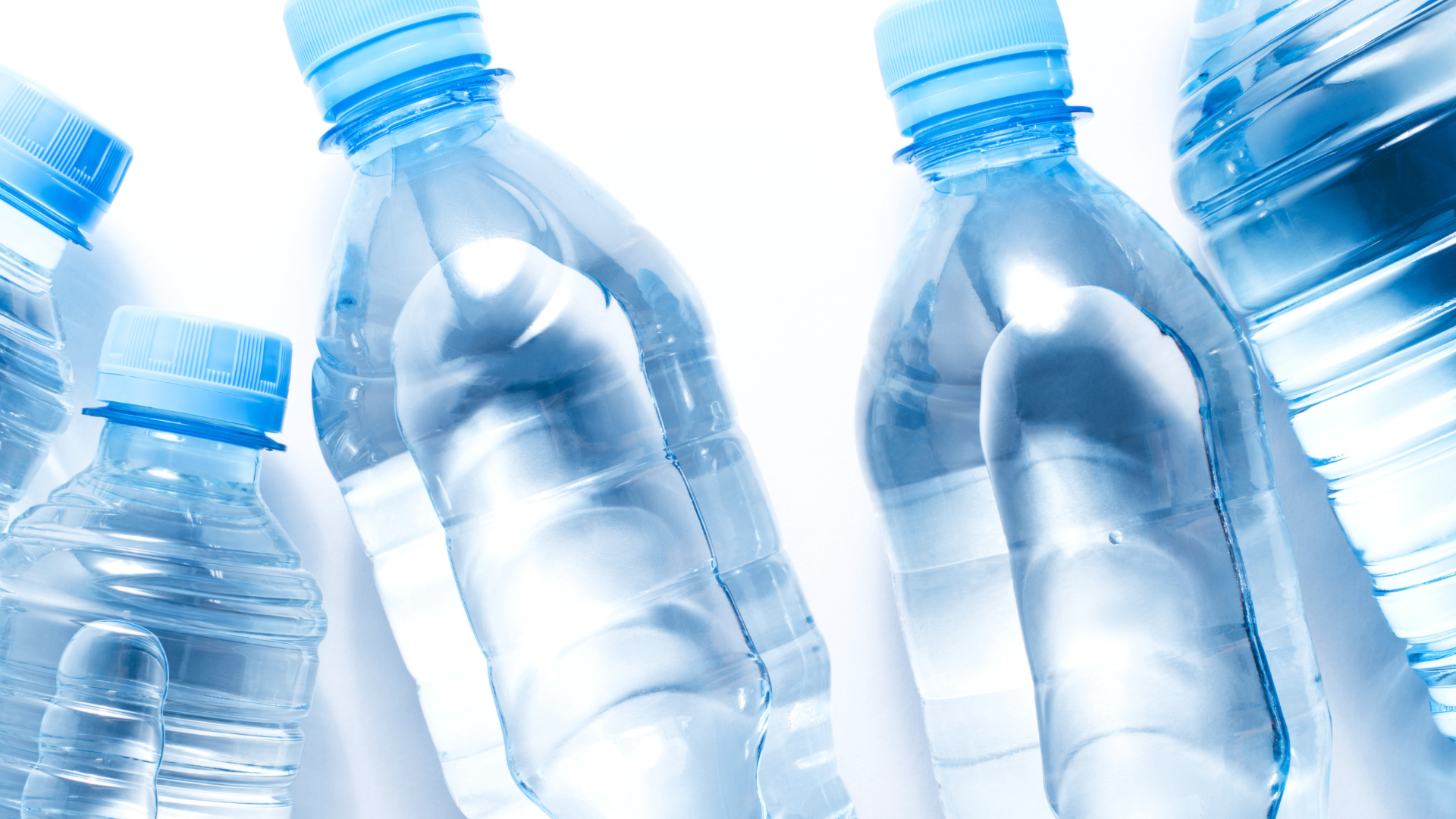 サントリーホールディングス